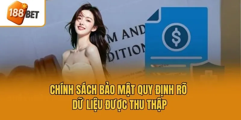 Chính sách bảo mật quy định rõ dữ liệu được thu thập